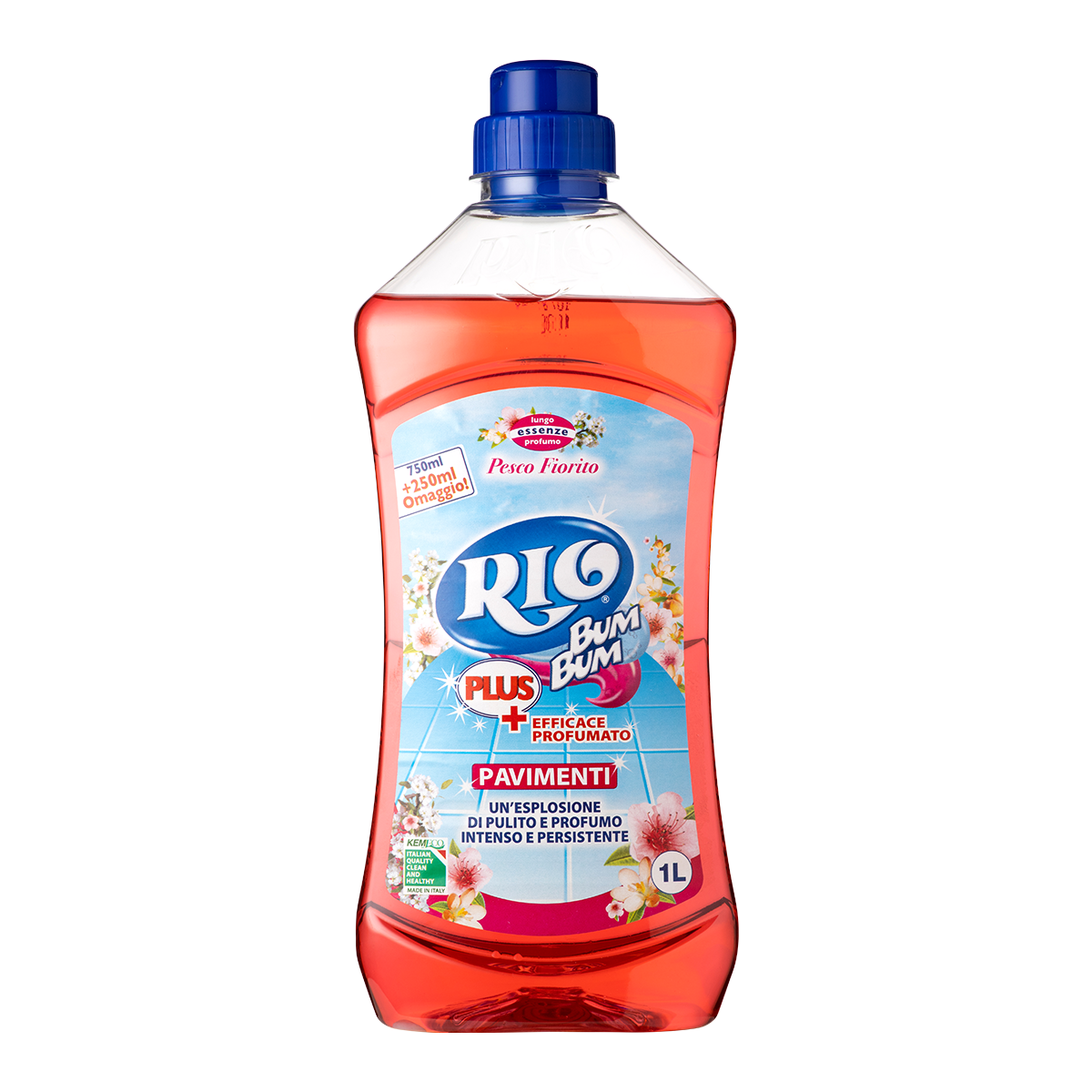 RIO BUM BUM PAVIMENTI PLUS PESCO 1 LT PET